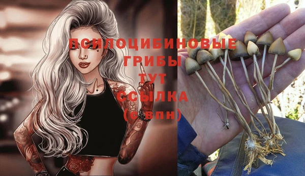 твердый Медногорск
