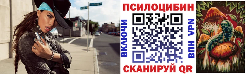 Купить закладки  Ливны  Псилоцибиновые грибы ЛСД 